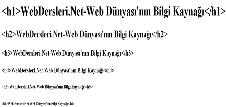 Heading Tags Etiketleri Sorunu