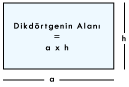 Dikdörtgenin ve karenin alanı nasıl hesaplanır?